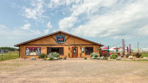 1114 BLUEBIRD RD N Eagle River WI 54521