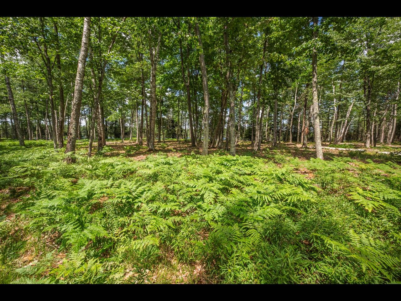 Lot 162 CLEARWATER LAKE TR