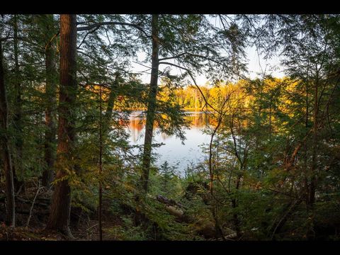 Lot 162 CLEARWATER LAKE TR Eagle River WI 54521
