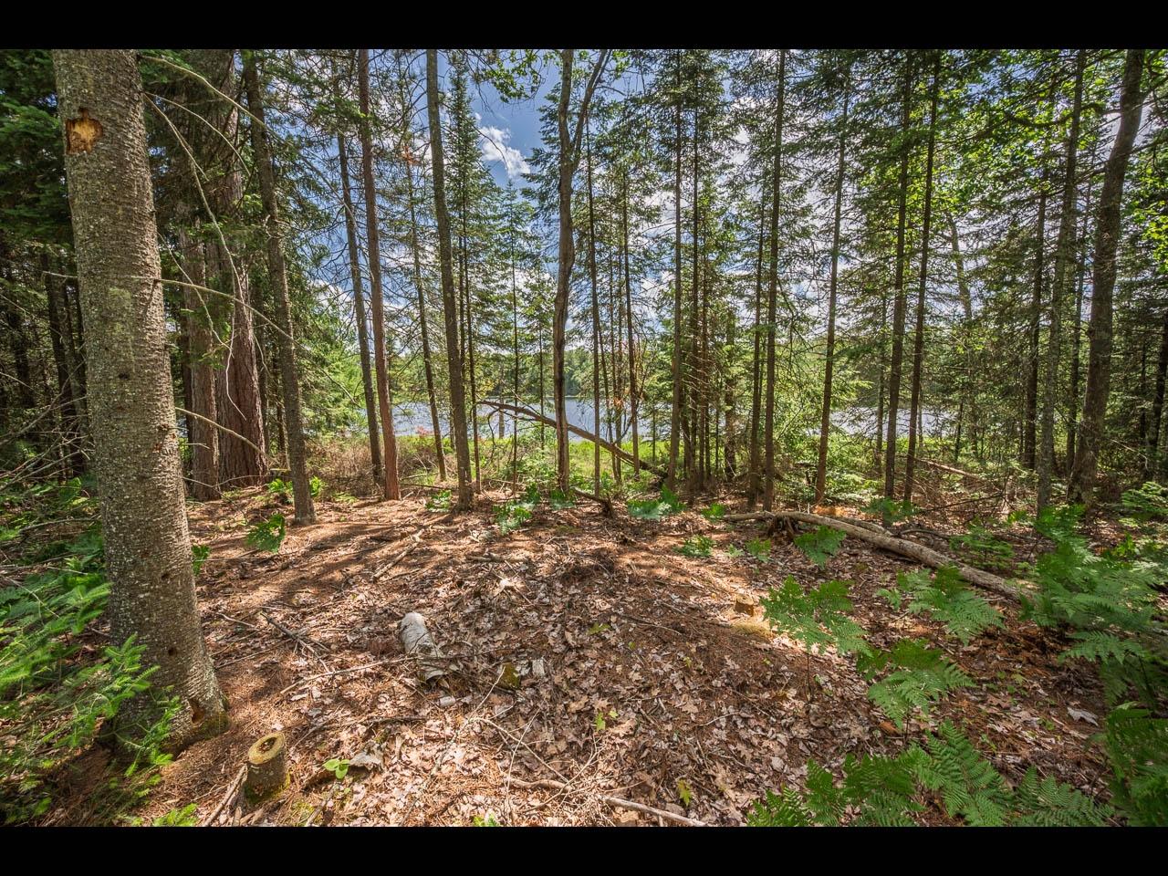 Lot 162 CLEARWATER LAKE TR