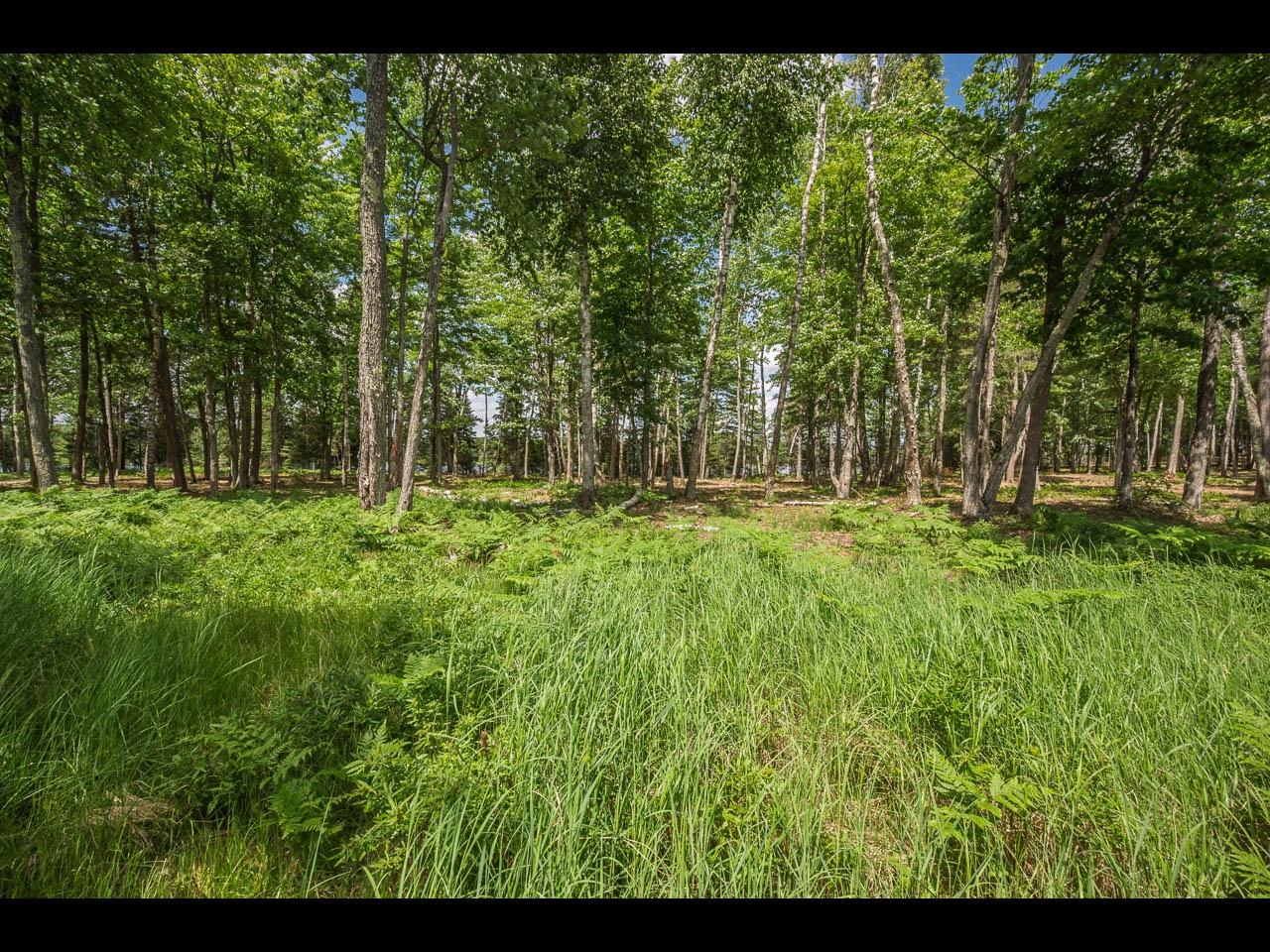 Lot 162 CLEARWATER LAKE TR