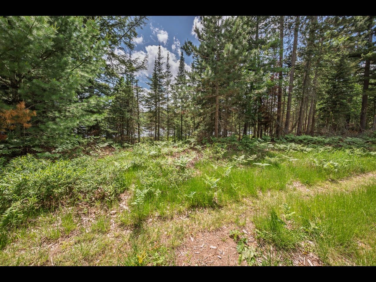 Lot 162 CLEARWATER LAKE TR