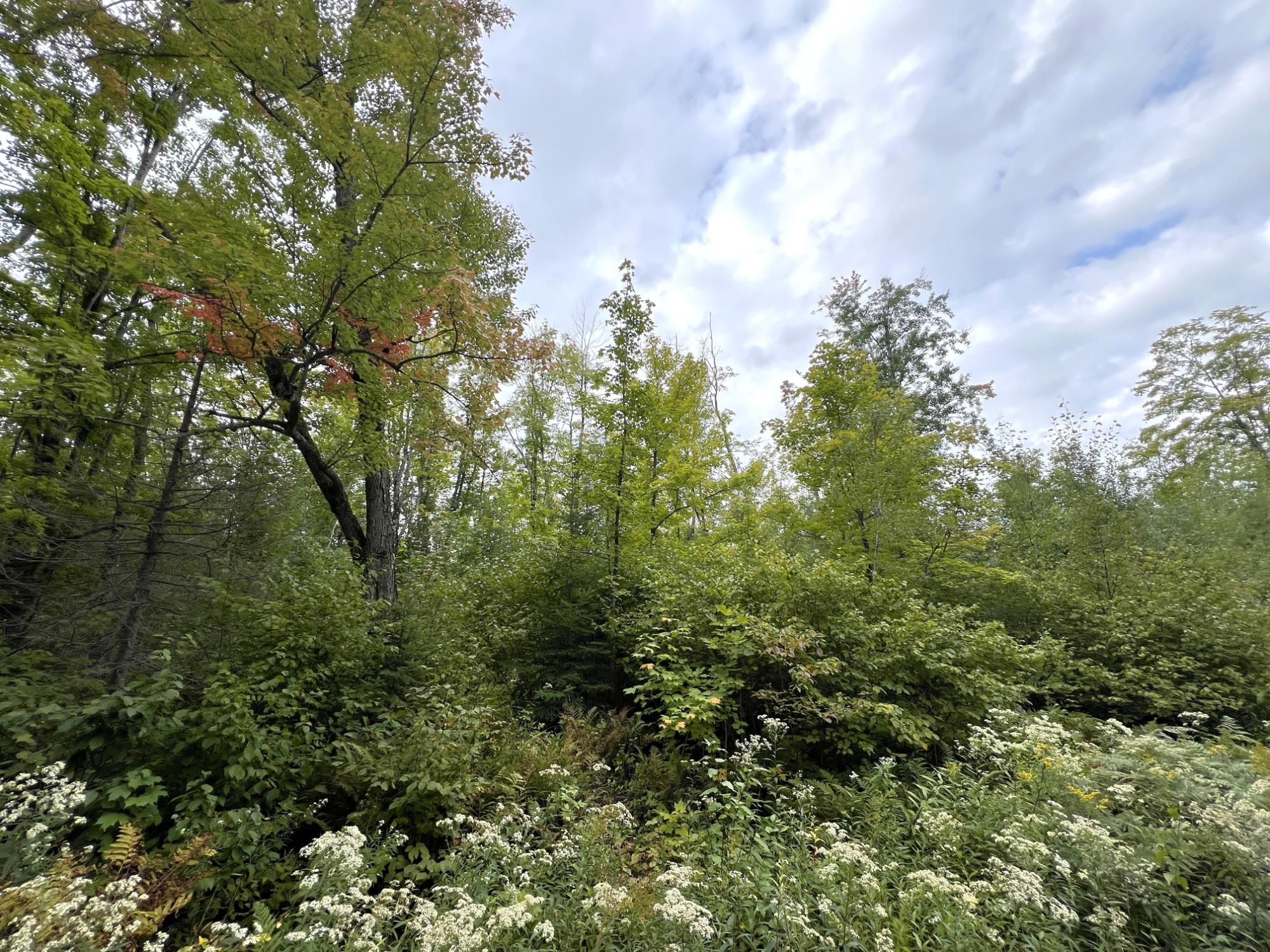 5.56ac STAR LAKE RD