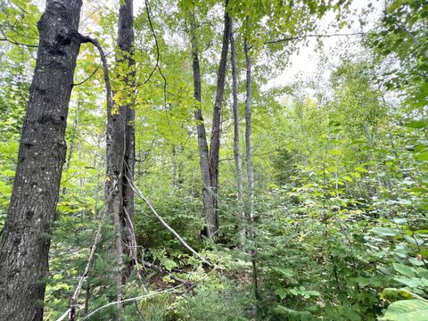 5.56ac STAR LAKE RD Crandon WI 54520