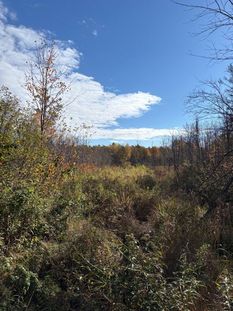 OFF PETERSON RD Antigo WI 54409