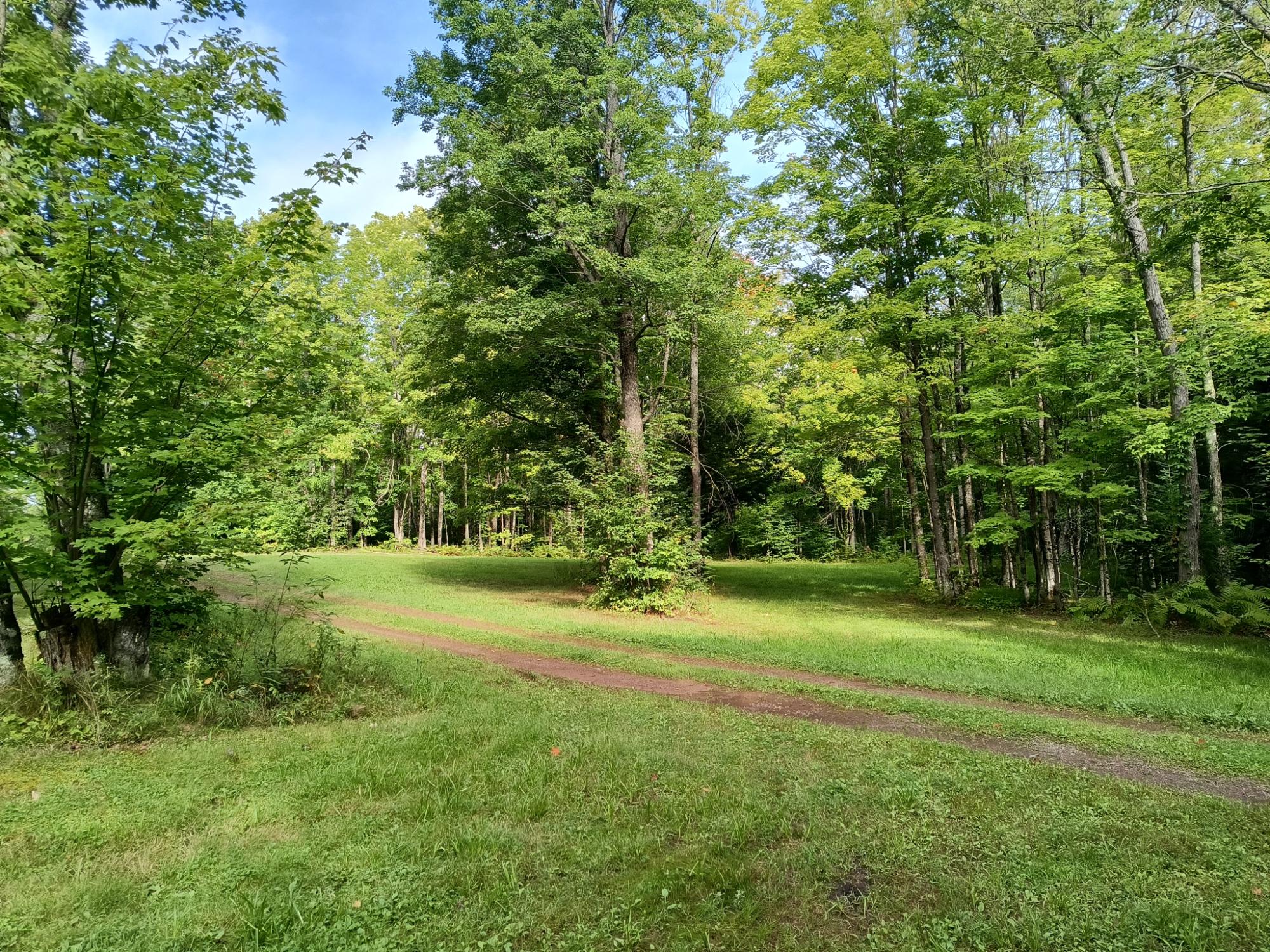 348 Acre BLACK RIVER RD