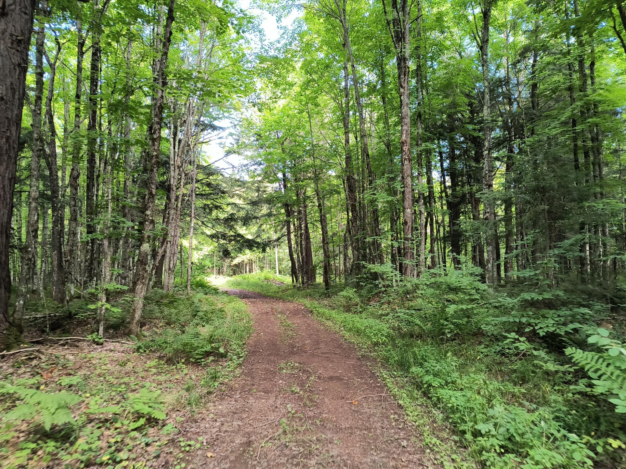 348 Acre BLACK RIVER RD