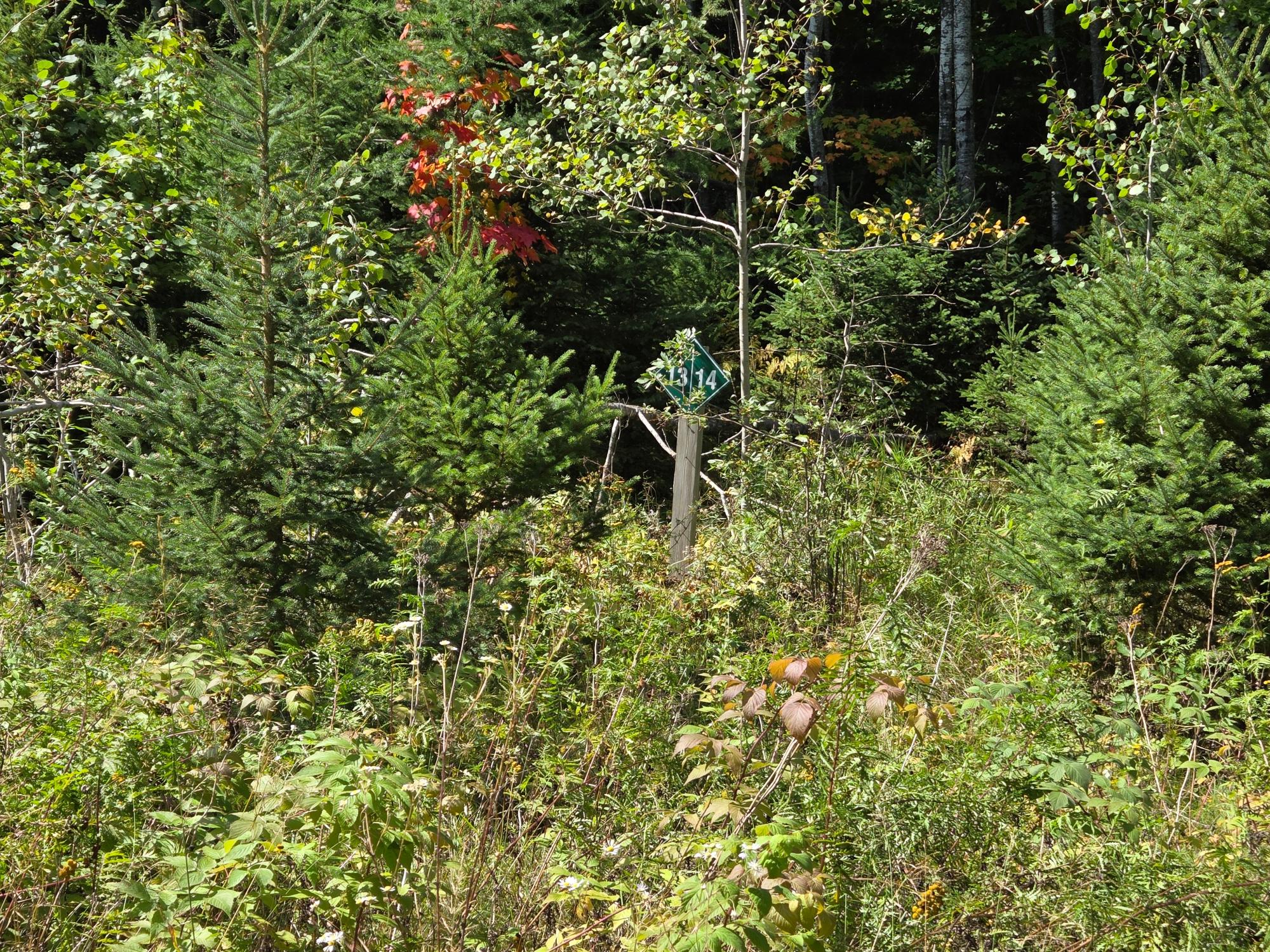 ON ELIZABETH LN 19 AC