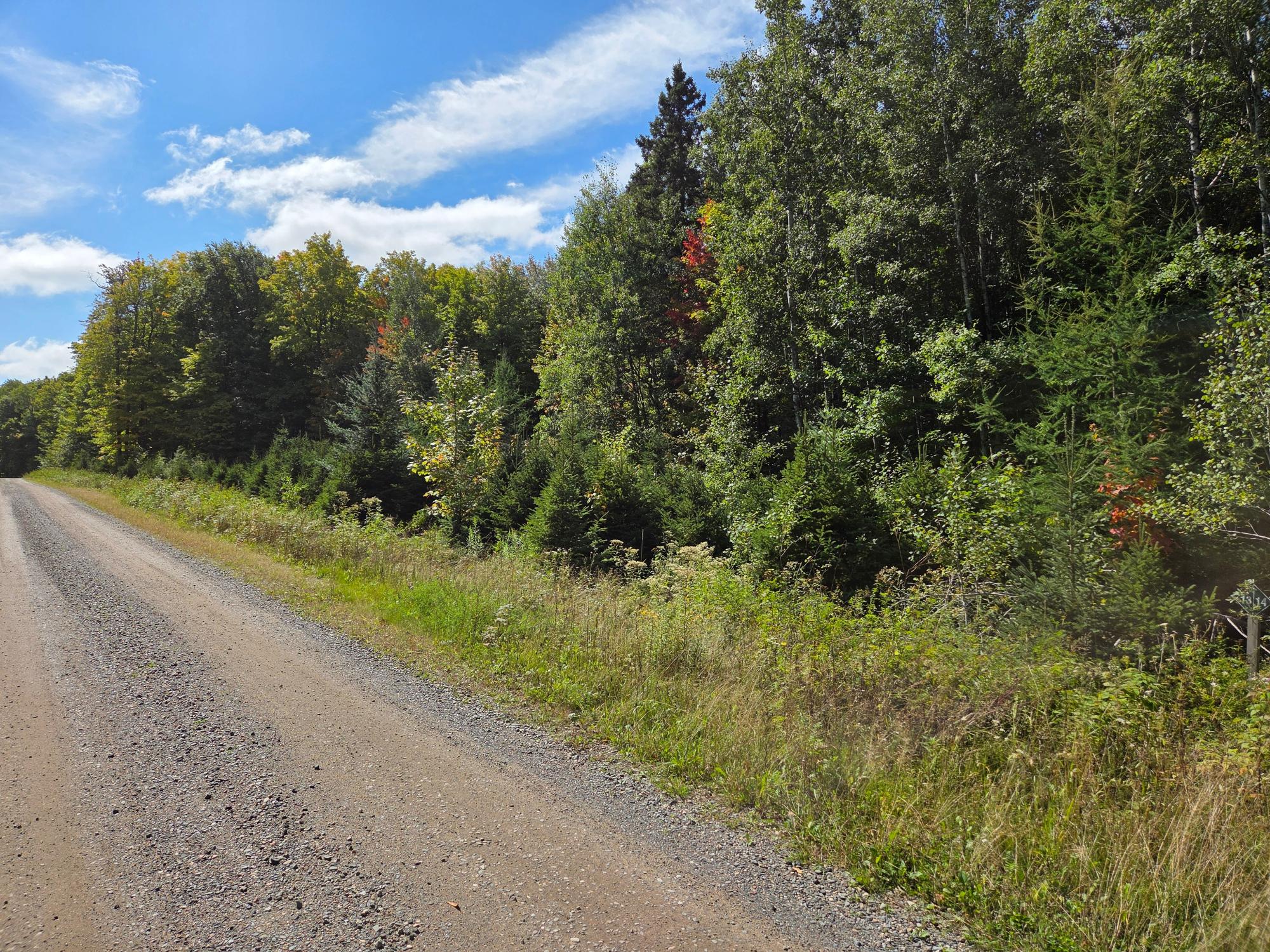 ON ELIZABETH LN 19 AC