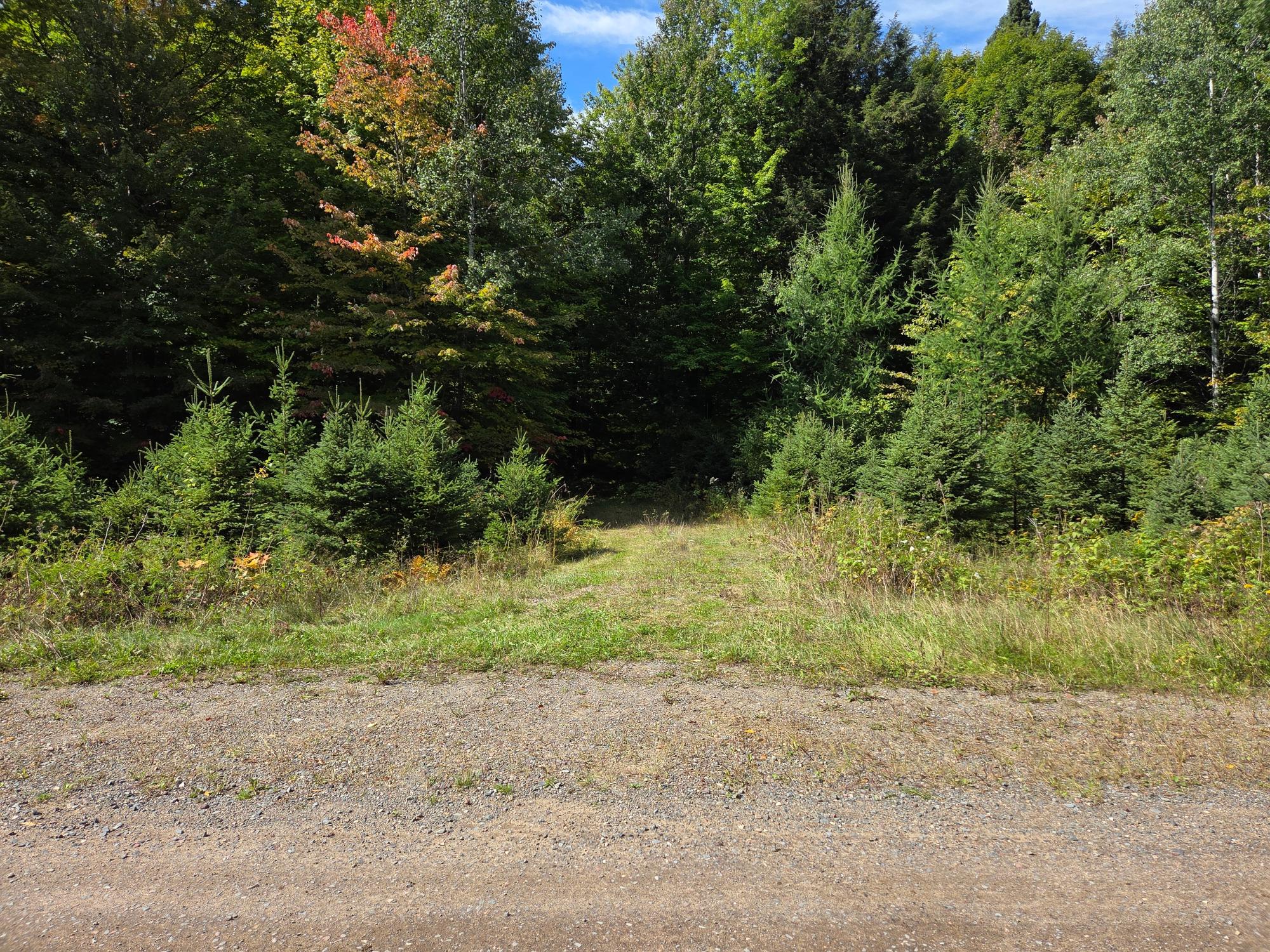 ON ELIZABETH LN 19 AC