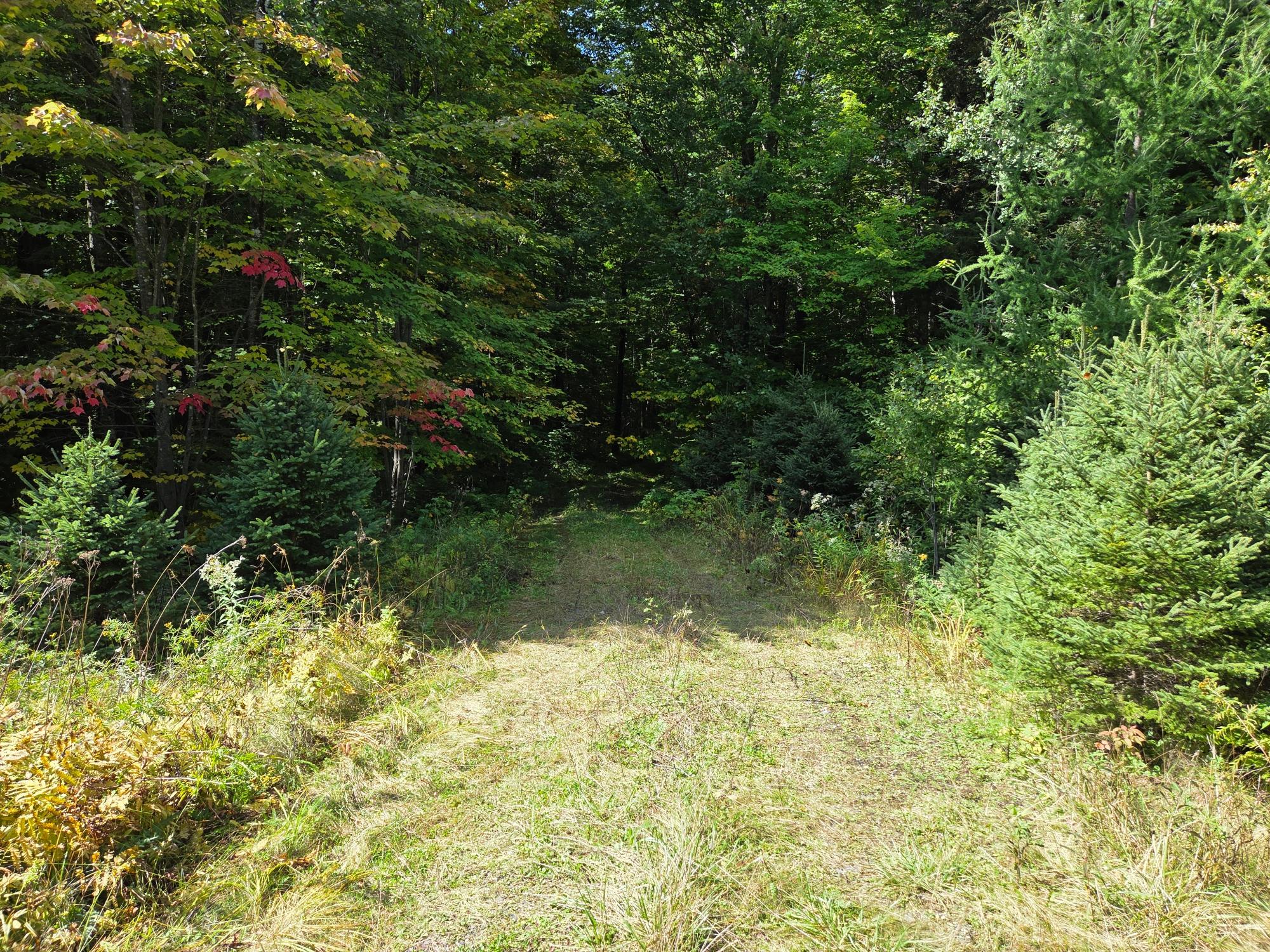 ON ELIZABETH LN 19 AC