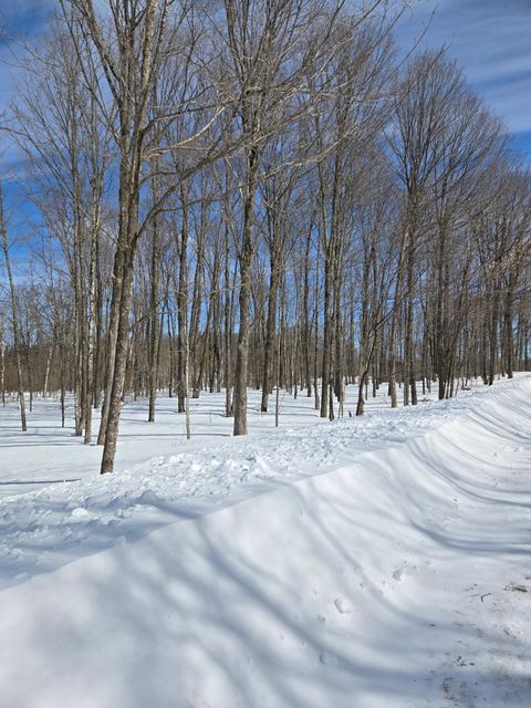Lot #11 KENTWOODS RD  WI 54418