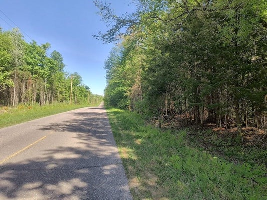OLD US HWY 2, WATERSMEET, MI 49969 - Image fcabffd8a52f29862b162e8cad6abece/2361400939