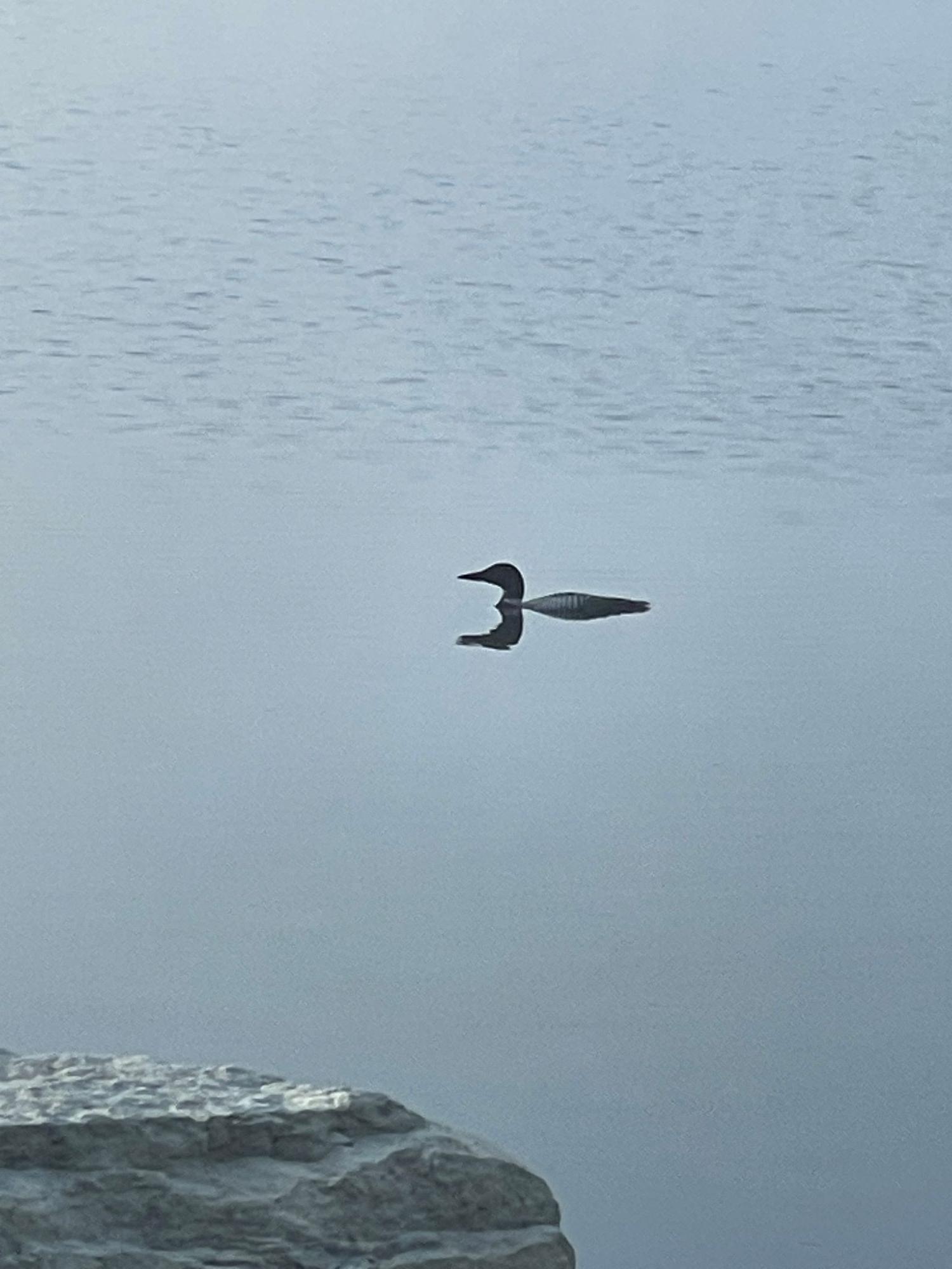 N9783 CRYSTAL LAKE RD