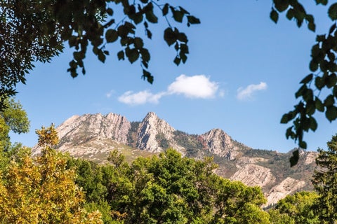 Tiny photo for 2250 E MURRAY HOLLADAY RD #201, Holladay, UT 84117 (MLS # 2173511)