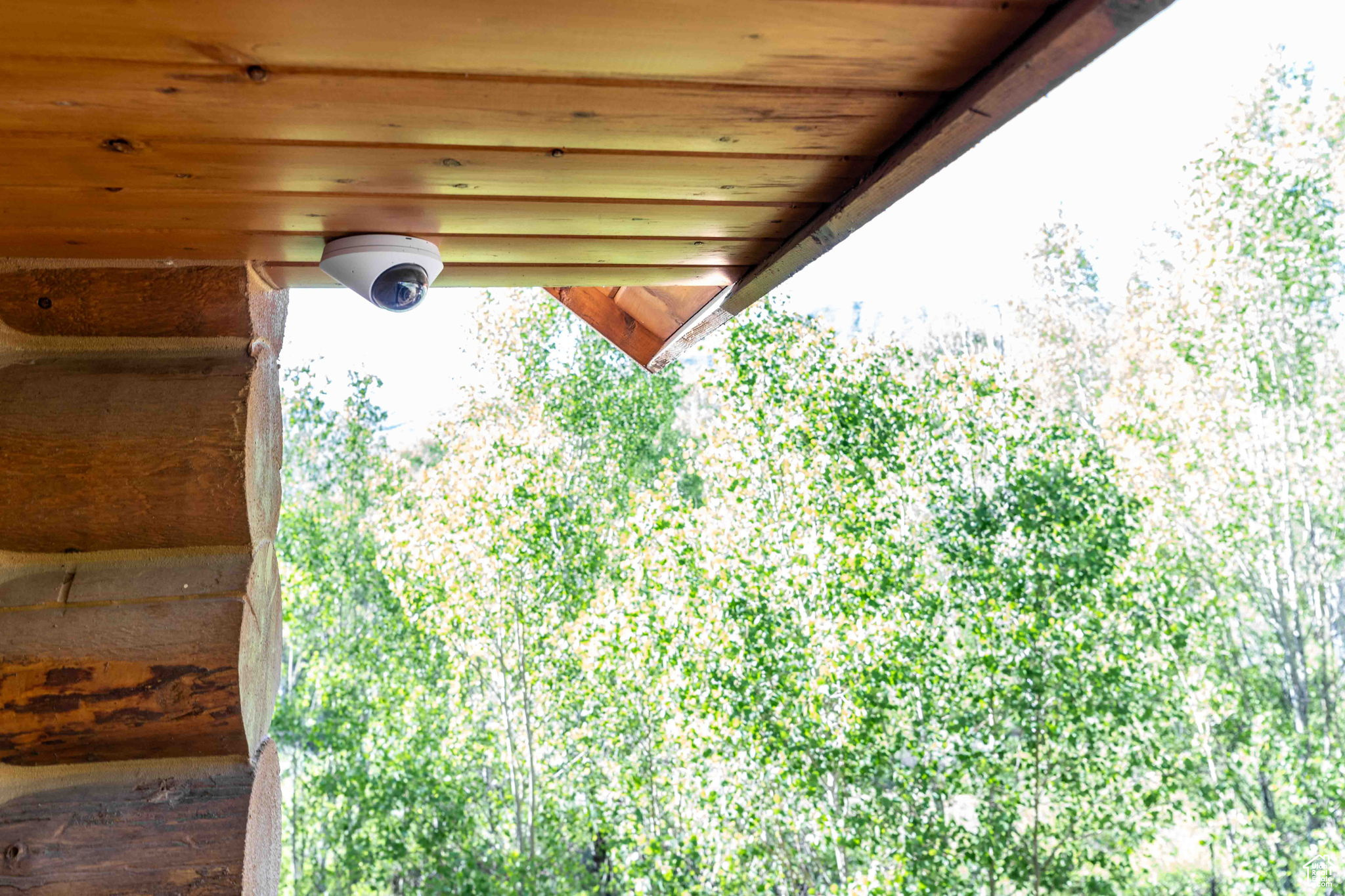 MEADOW VIEW RANCH - Residential Lease