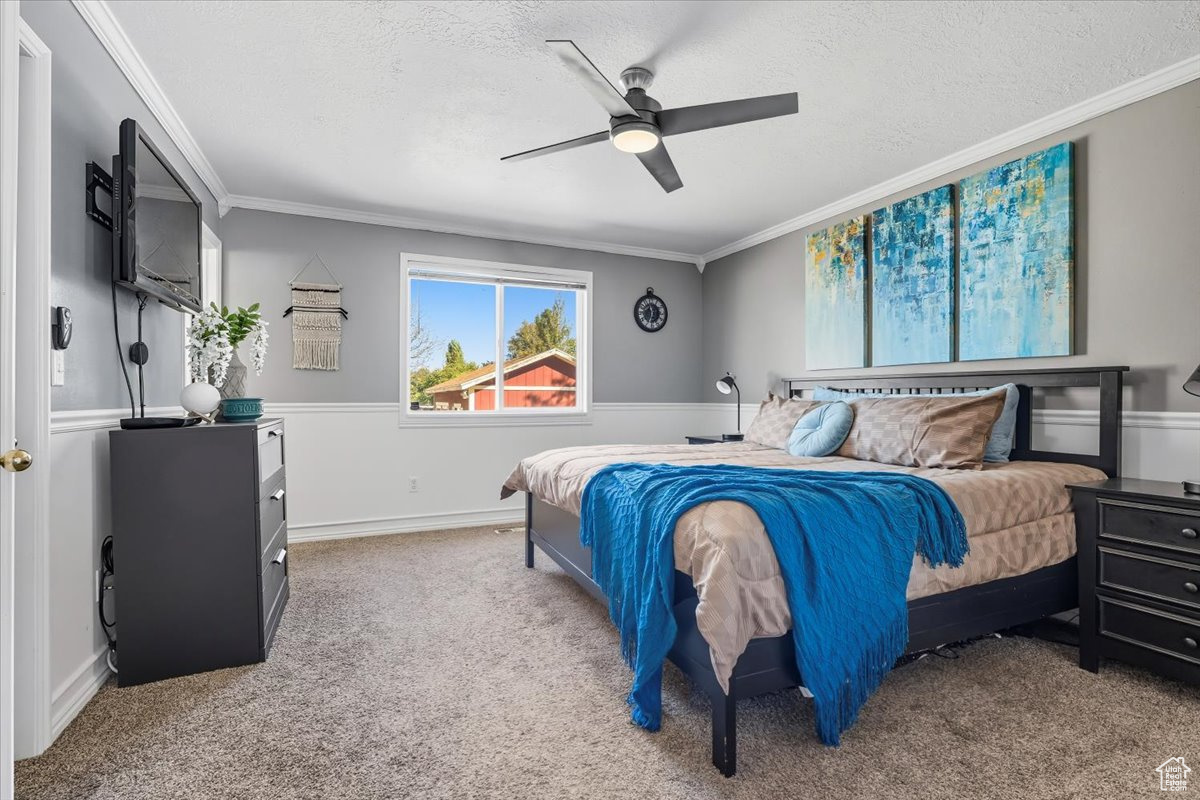 ASCOT DOWNS - Residential