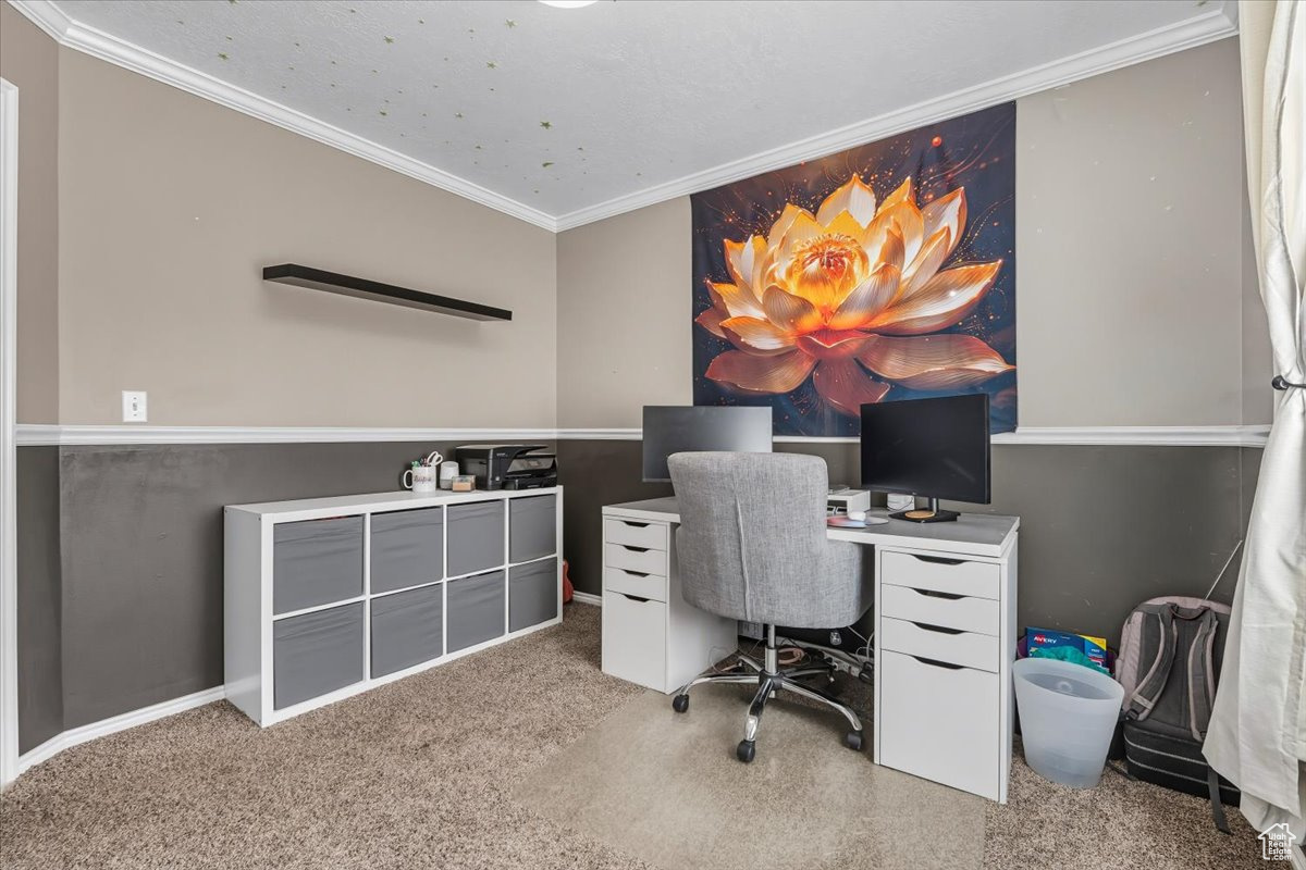 ASCOT DOWNS - Residential