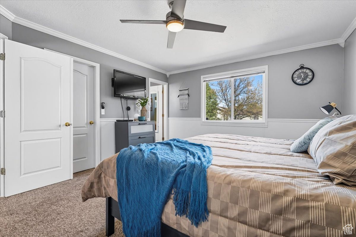 ASCOT DOWNS - Residential