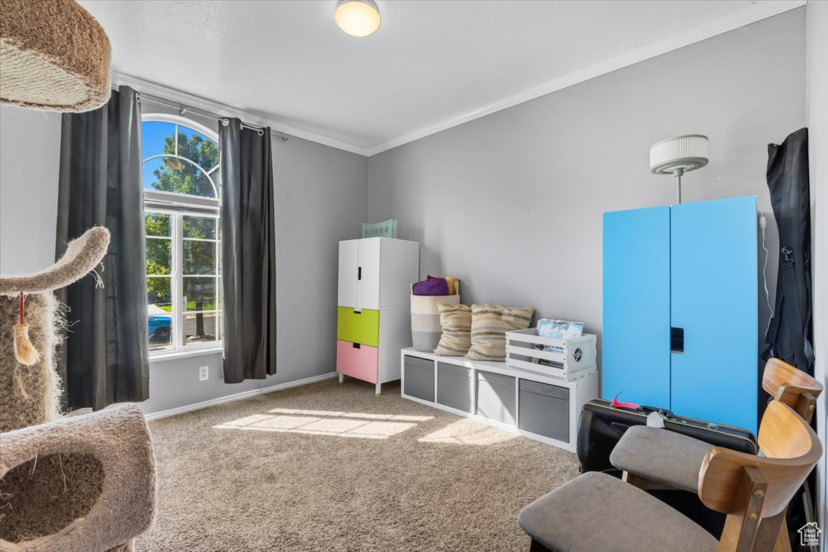 ASCOT DOWNS - Residential