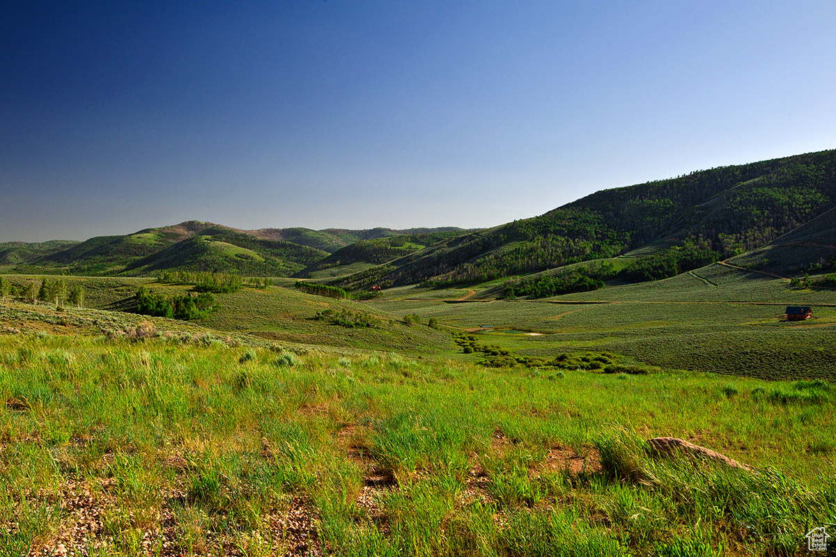 SCOFIELD MOUNTAIN ES - Land