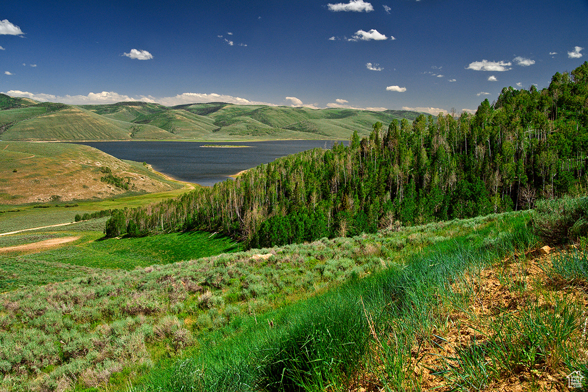 SCOFIELD MOUNTAIN ES - Land