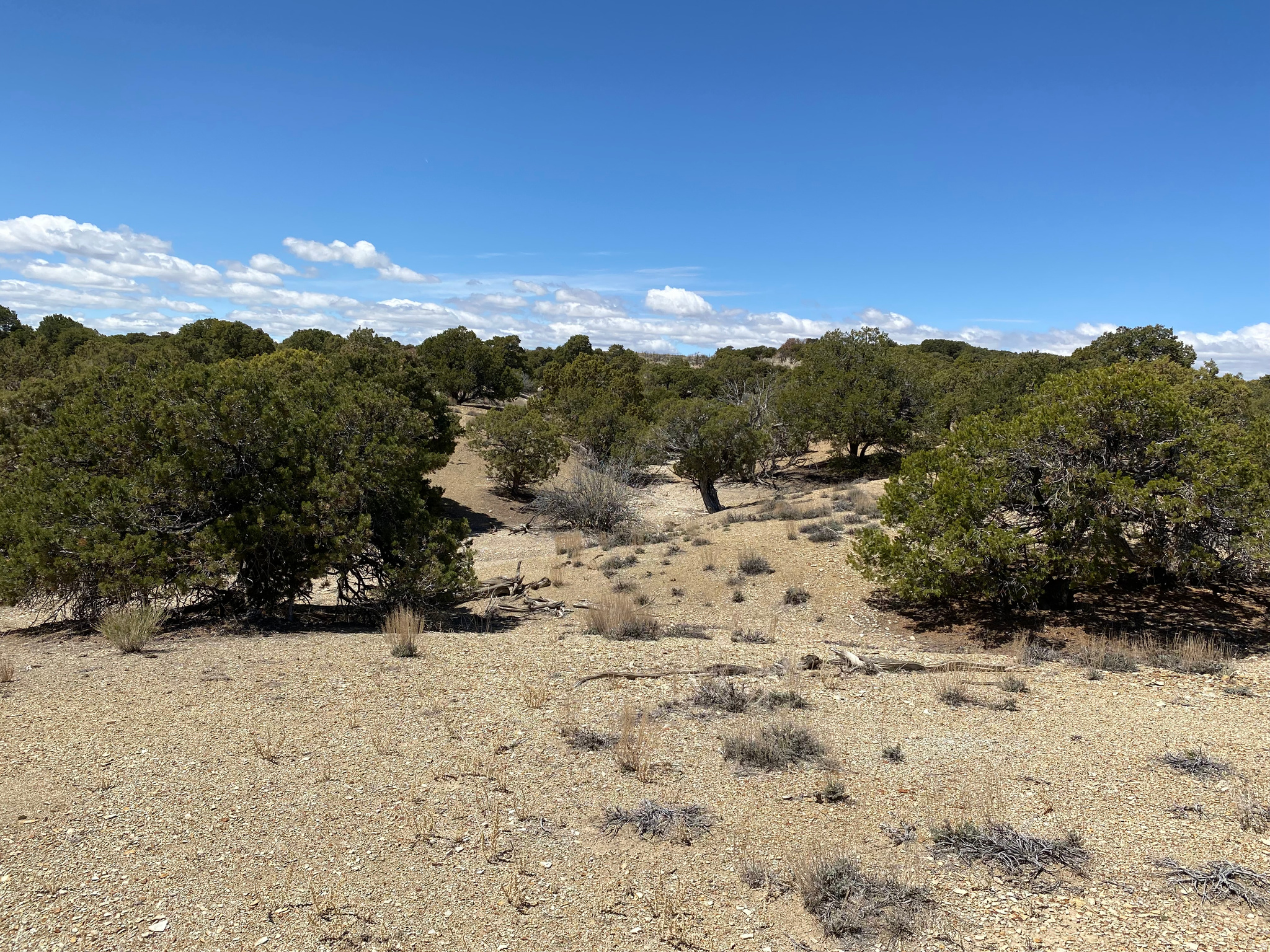 MOONDANCE RANCH - Land