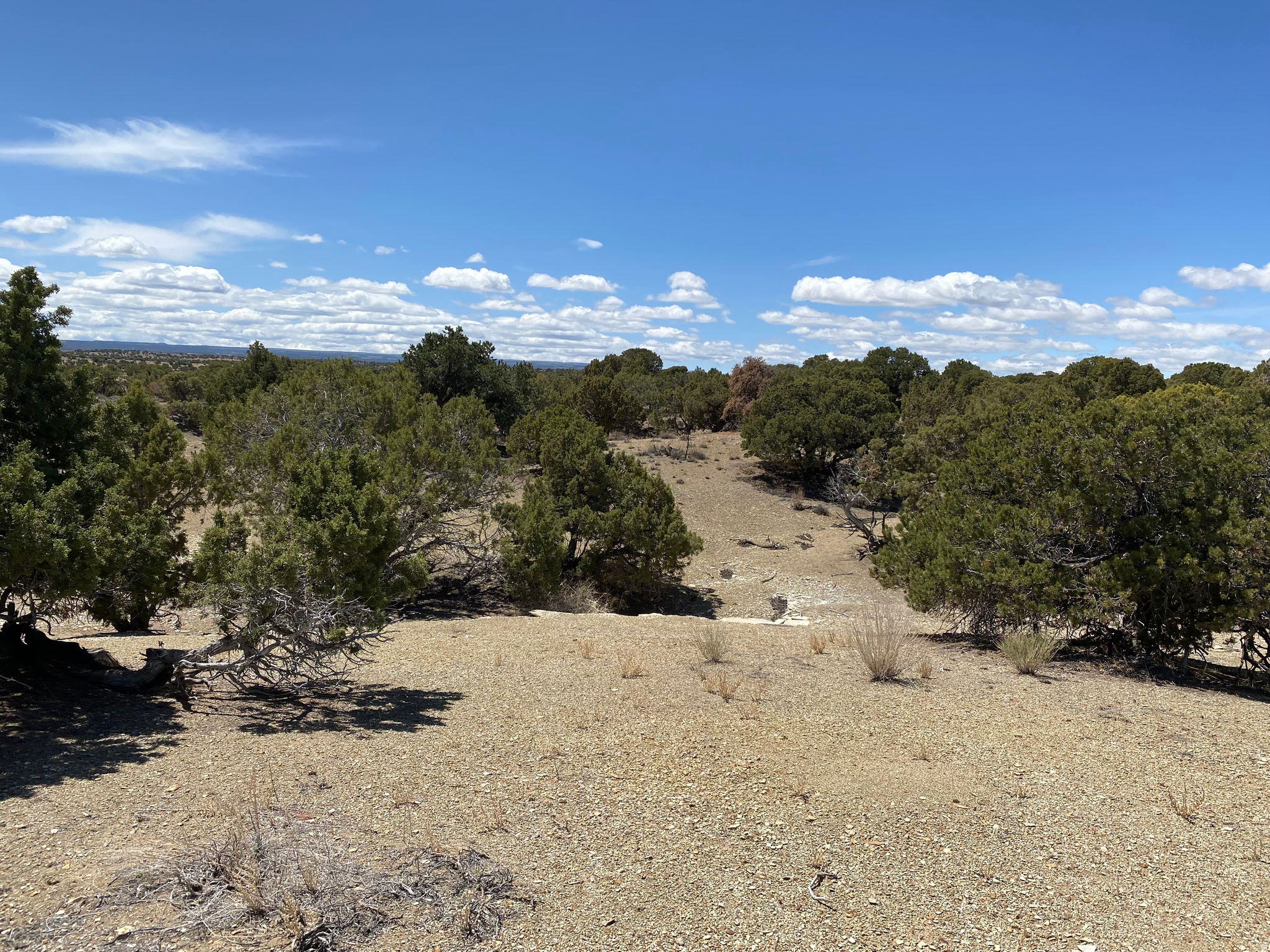 MOONDANCE RANCH - Land