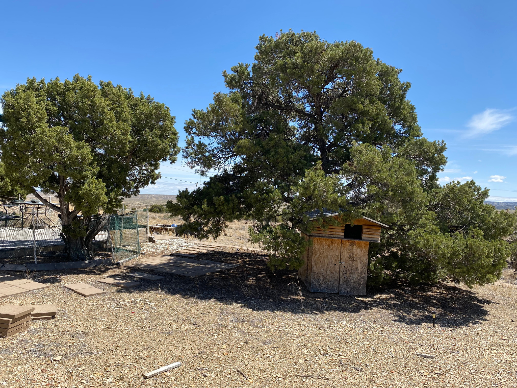 MOONDANCE RANCH - Land