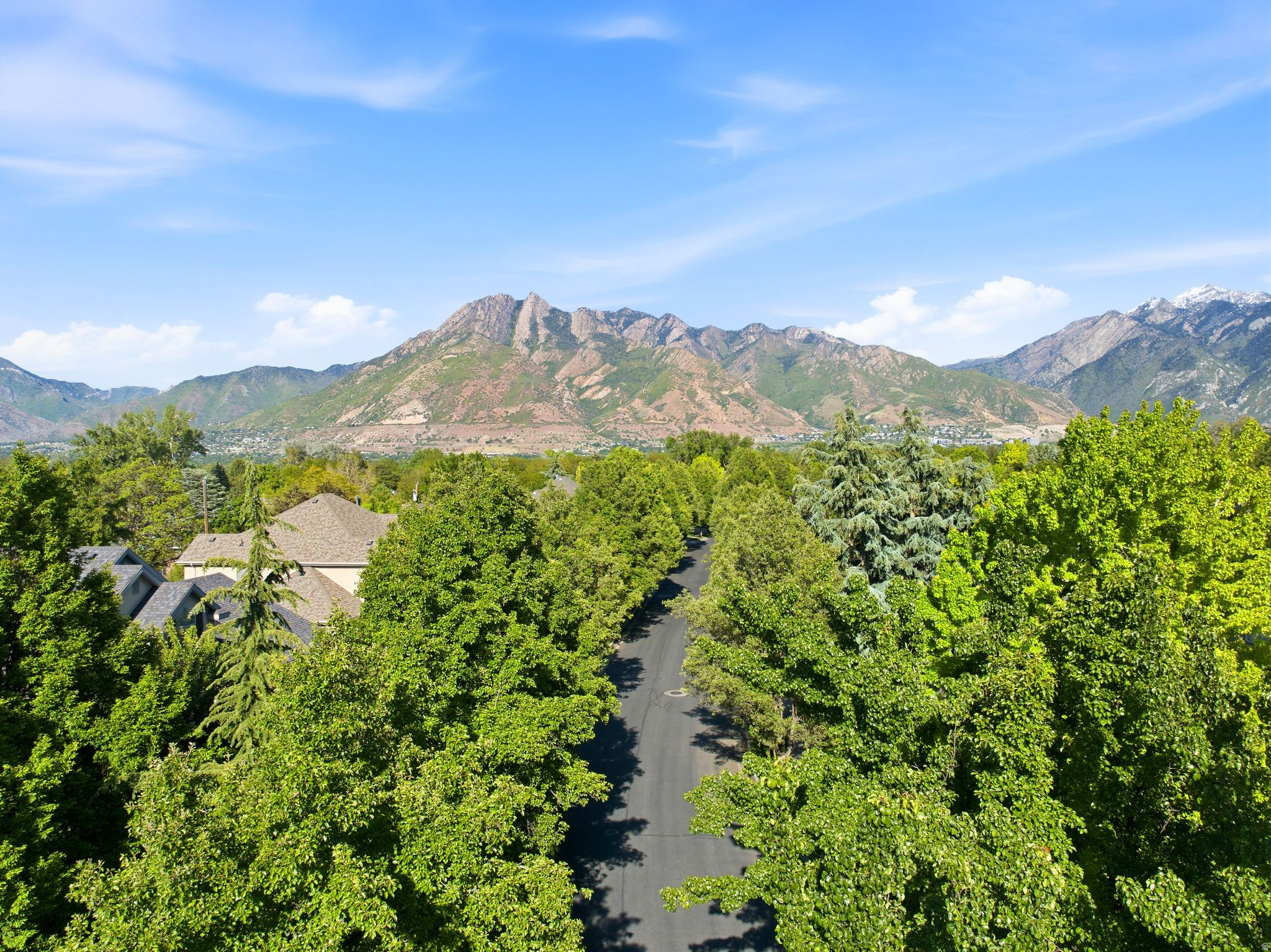 WOODSTOCK MEADOWS - Residential