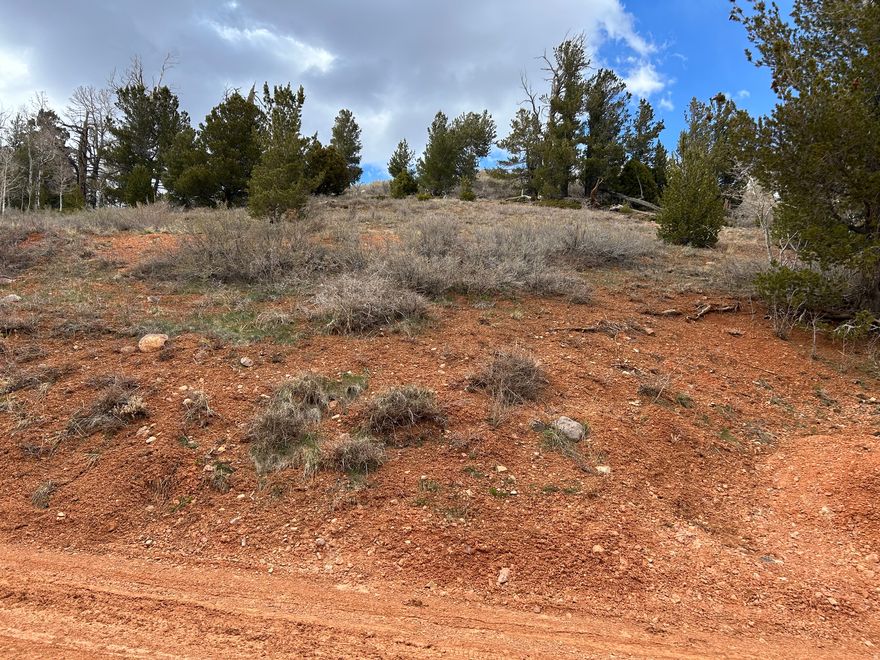 Claim your very own piece of Brian Head!  This hillside lot is just minutes away from pavement. Power is down the road. Great place to park your RV, build a cabin and star gaze. Just a short drive to shopping, dining and activities.