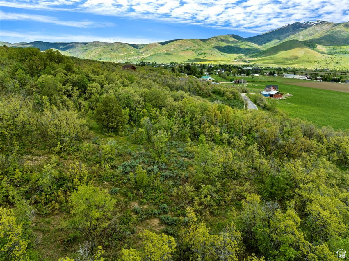 Land, Liberty, Utah image 6