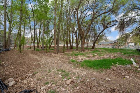 Tiny photo for 1544 E 1200 S, Springville, UT 84663 (MLS # 2146930)