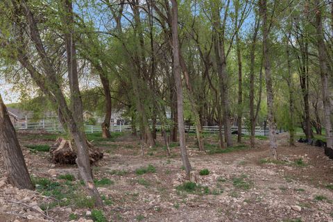 Tiny photo for 1544 E 1200 S, Springville, UT 84663 (MLS # 2146930)