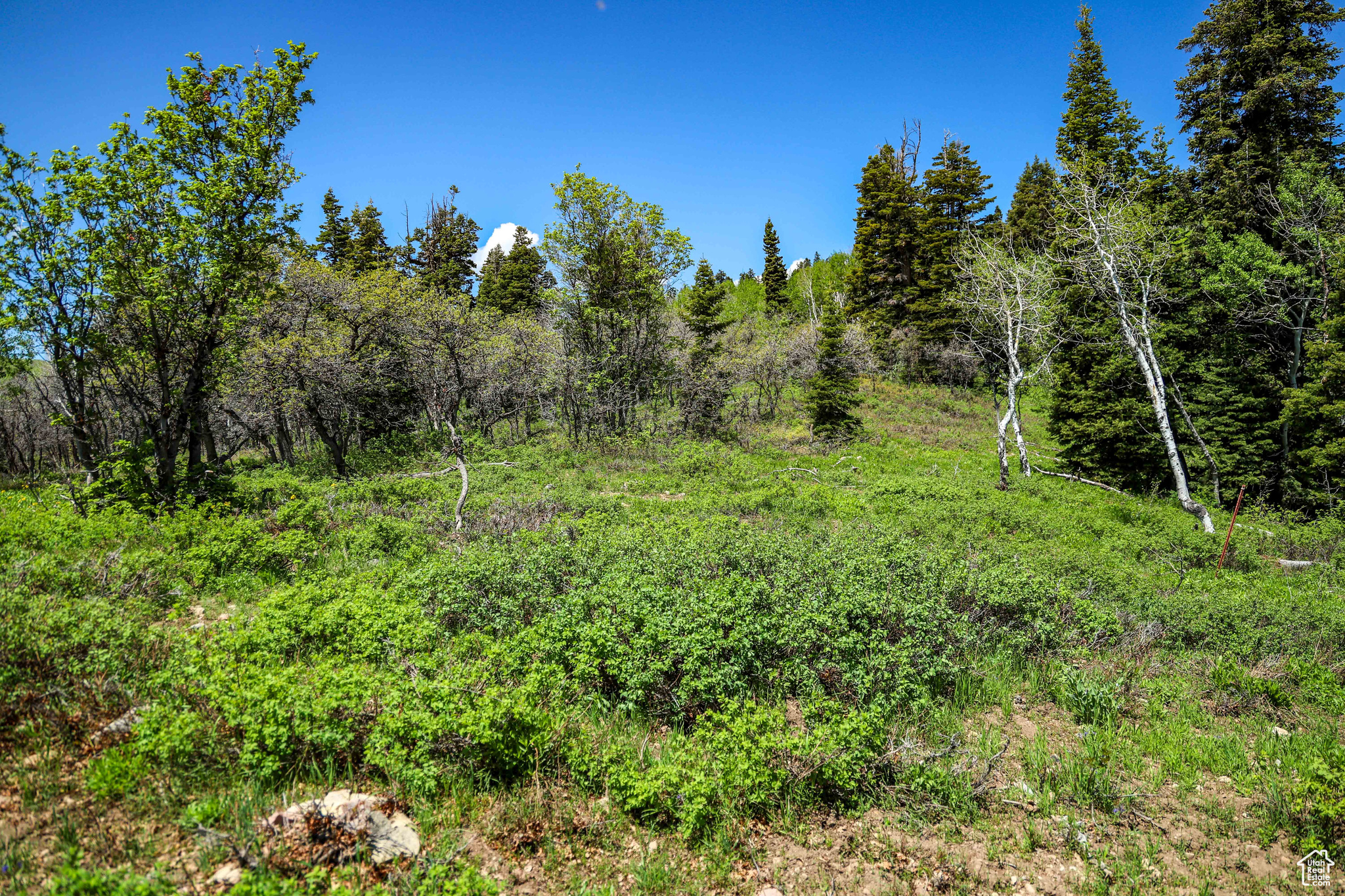 1172 W Maple Pl, Coalville, Utah image 18