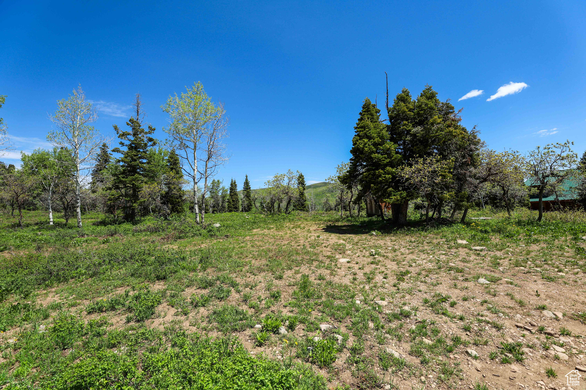 1172 W Maple Pl, Coalville, Utah image 4