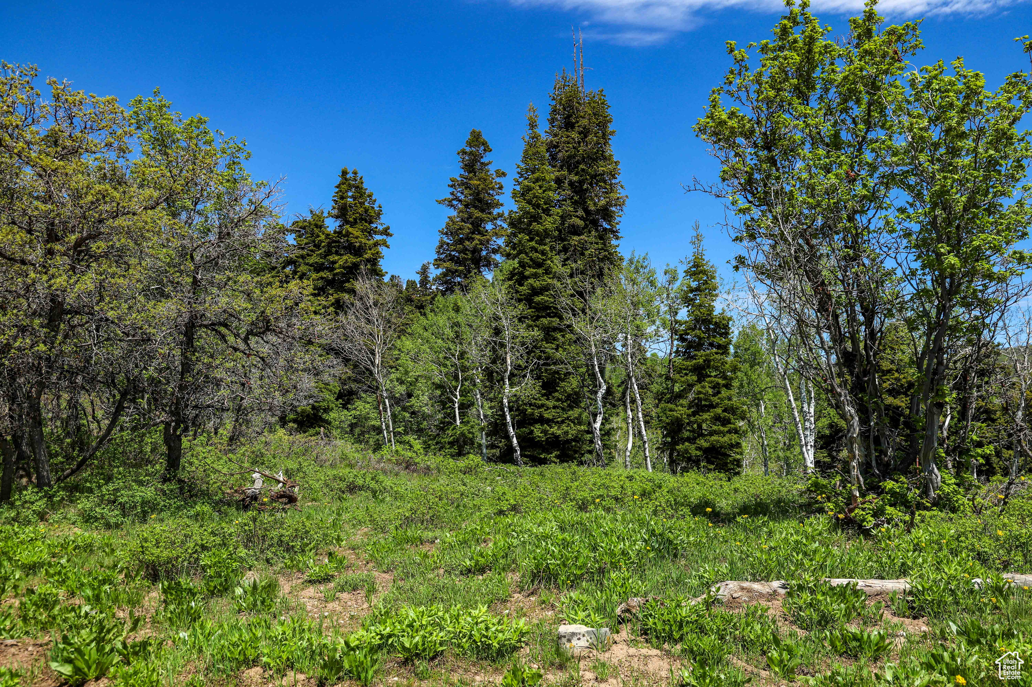1172 W Maple Pl, Coalville, Utah image 21