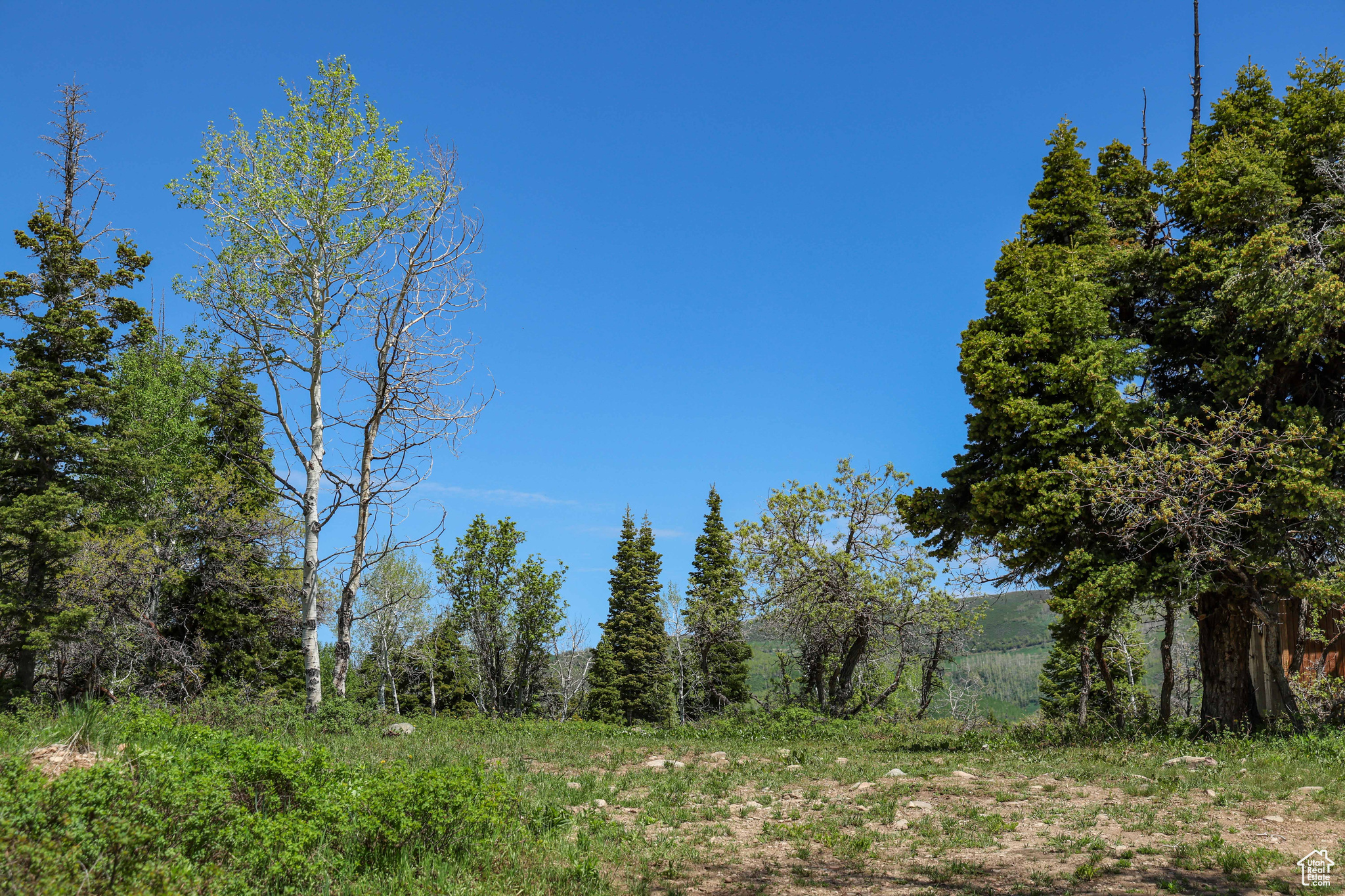 1172 W Maple Pl, Coalville, Utah image 29
