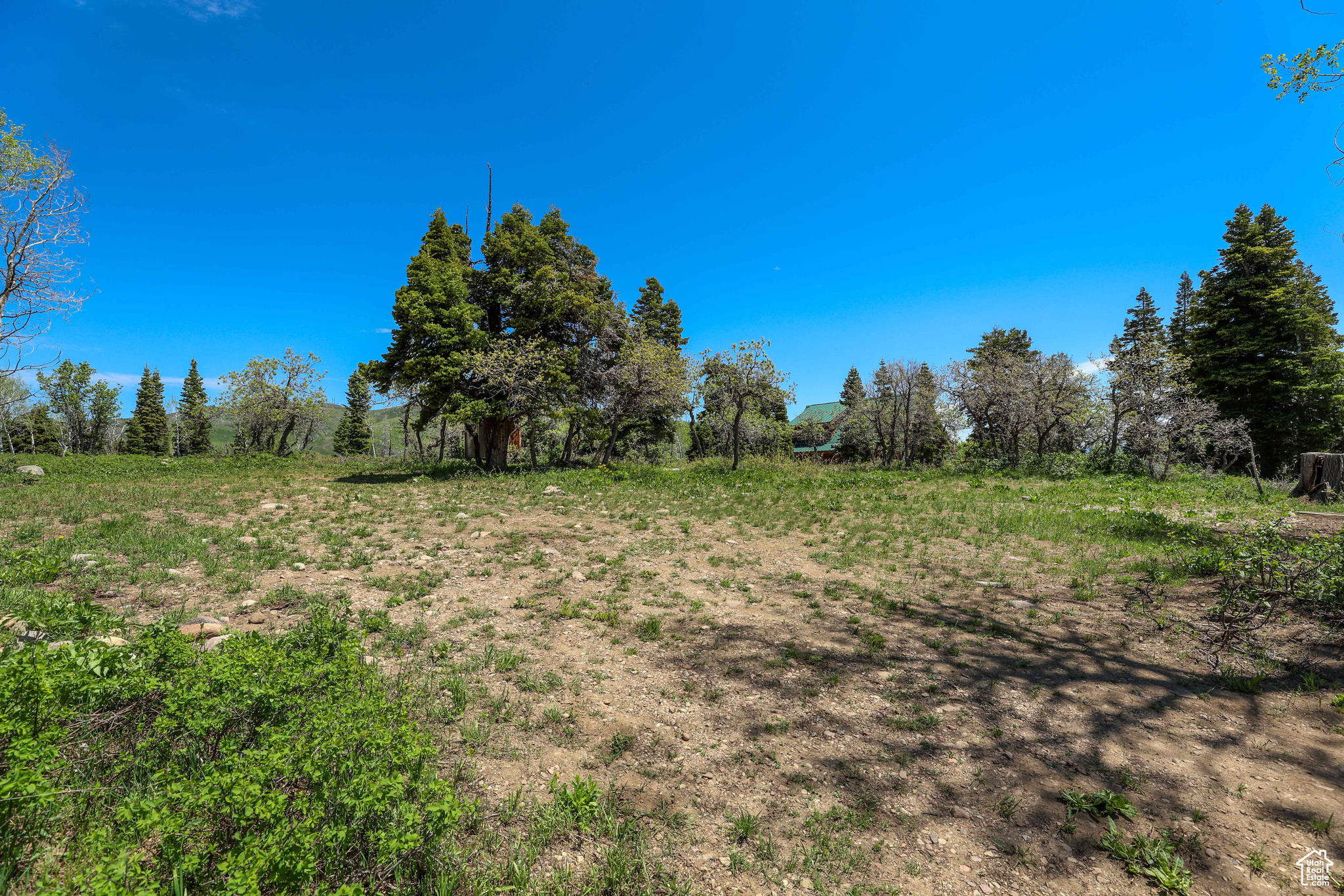 1172 W Maple Pl, Coalville, Utah image 10