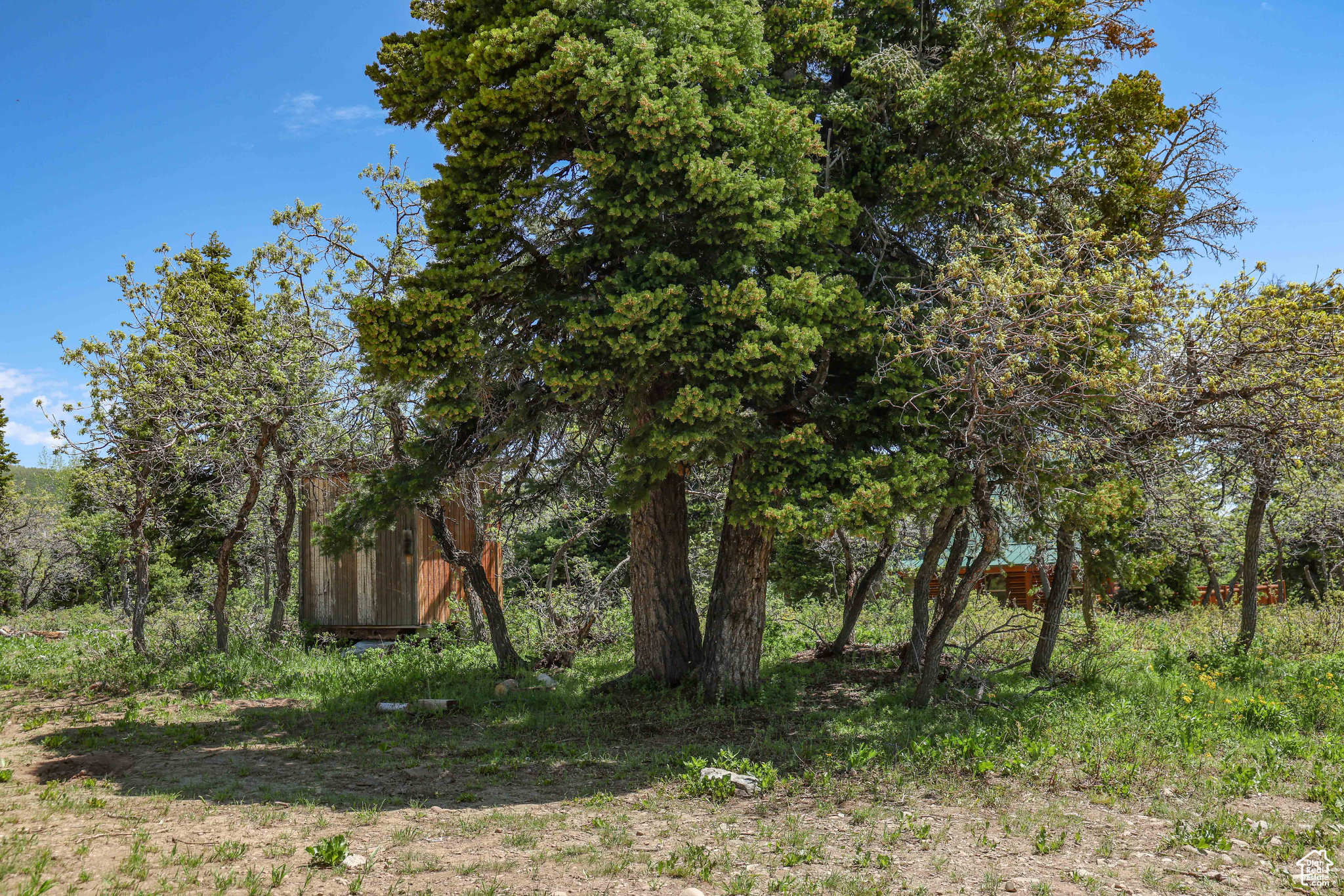 1172 W Maple Pl, Coalville, Utah image 12