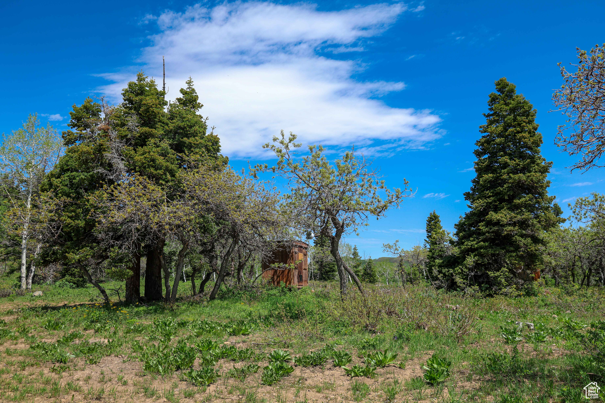 1172 W Maple Pl, Coalville, Utah image 11
