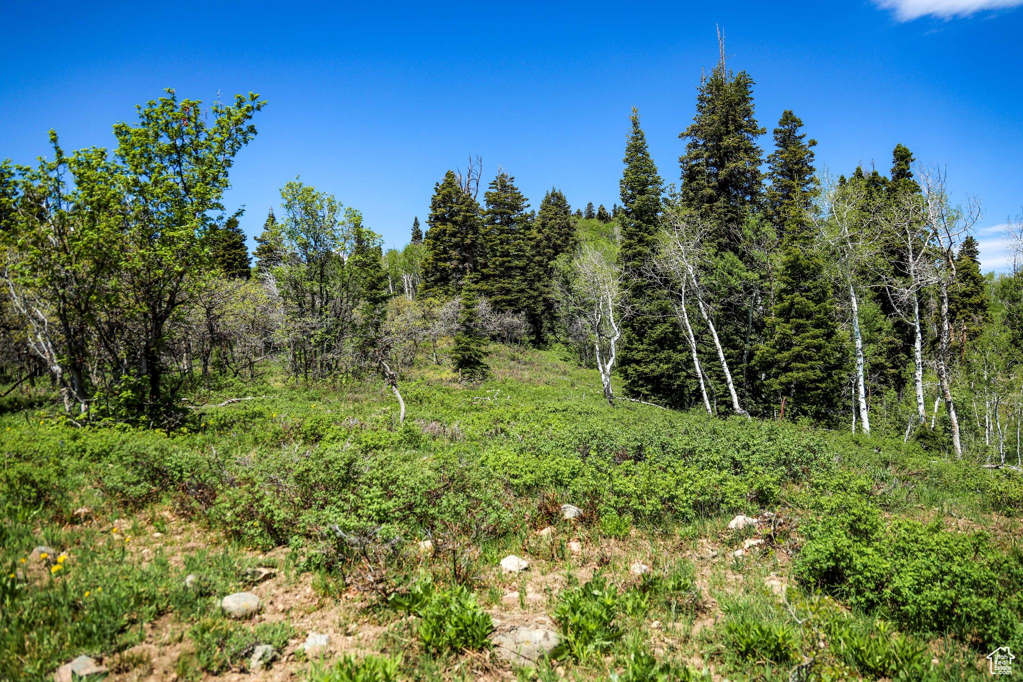 1172 W Maple Pl, Coalville, Utah image 17