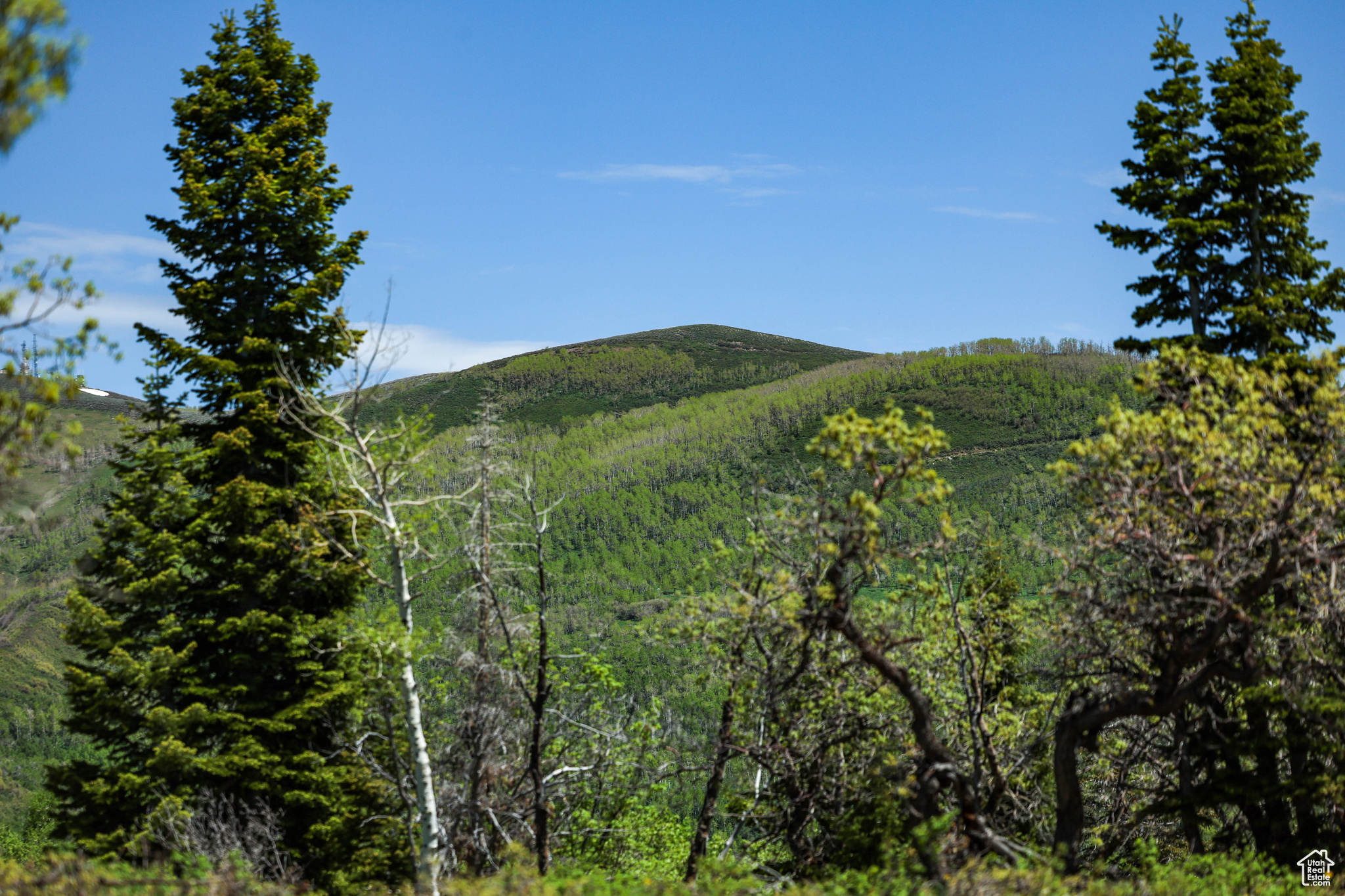 1172 W Maple Pl, Coalville, Utah image 33