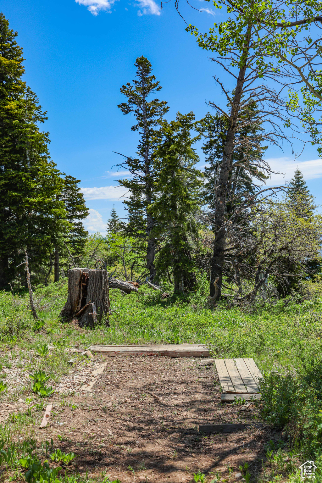 1172 W Maple Pl, Coalville, Utah image 30