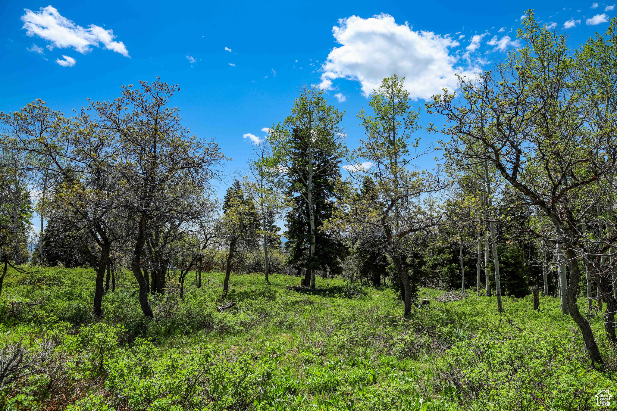 1172 W Maple Pl, Coalville, Utah image 27