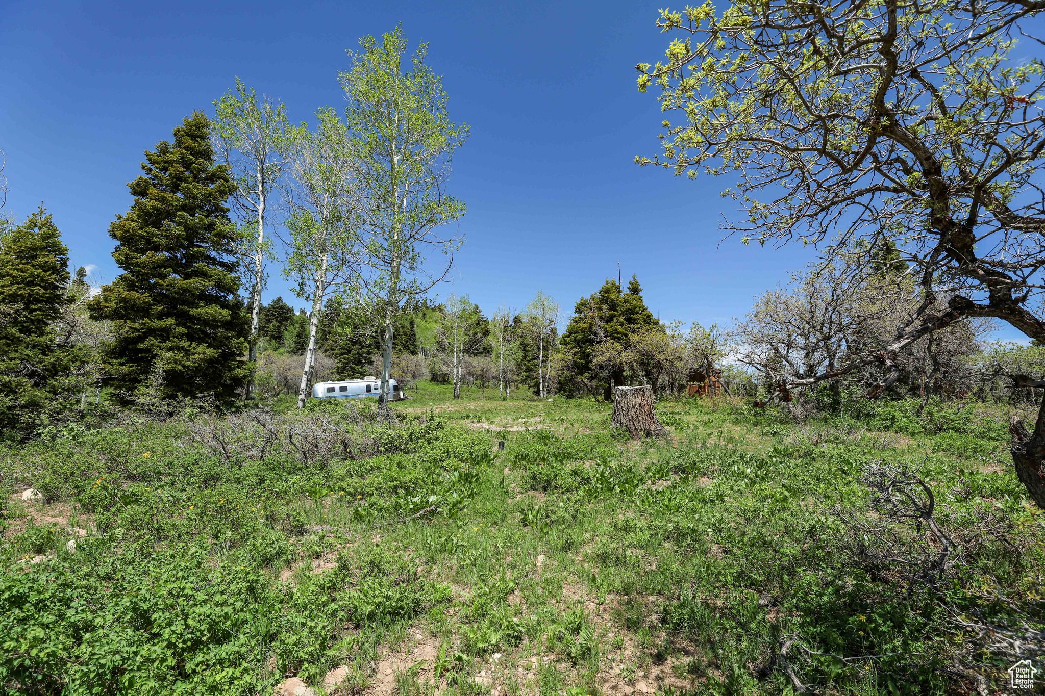 1172 W Maple Pl, Coalville, Utah image 9