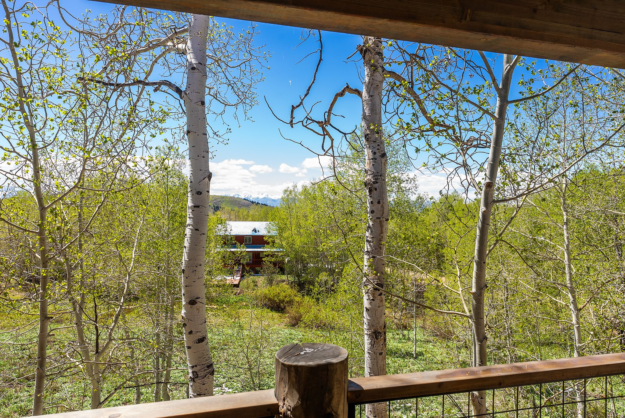 TIMBER LAKES - Residential