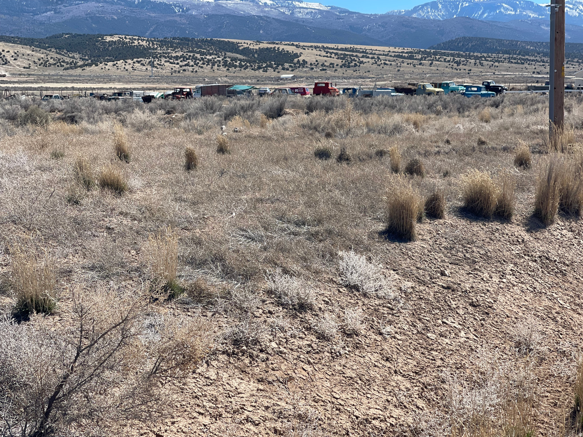 MOUNTAIN VIEW INDUSTRIAL PARK - Land