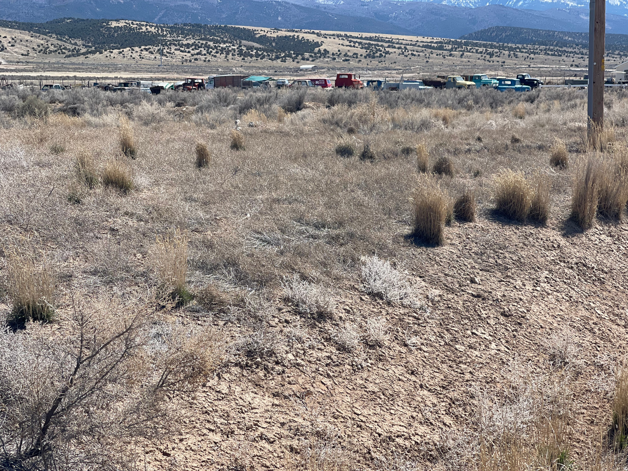 MOUNTAIN VIEW INDUSTRIAL PARK - Land