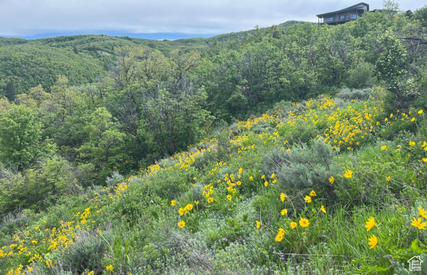 6000 E Old Snowbasin Rd, Huntsville, Utah image 7
